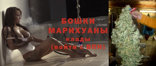 сатива Балахна